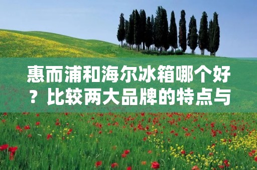 惠而浦和海尔冰箱哪个好?比较两大品牌的特点与优势 惠而浦和海尔冰箱哪个好?比较两大品牌的特点与优势