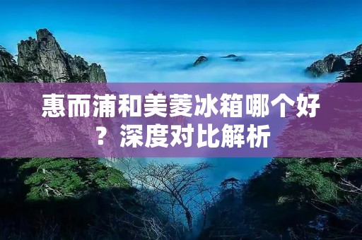 惠而浦和美菱冰箱哪个好？深度对比解析
