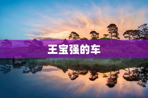 王宝强的车:一辆奢华与品味的交织体验 王宝强的车:一辆奢华与品味的交织体验