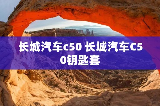 长城汽车c50 长城汽车C50钥匙套 长城汽车c50 长城汽车C50钥匙套