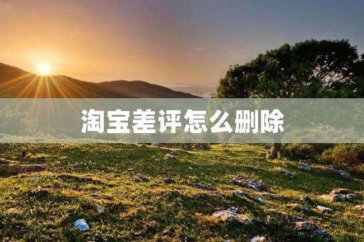 淘宝差评怎么删除:一场关于维护声誉的战斗