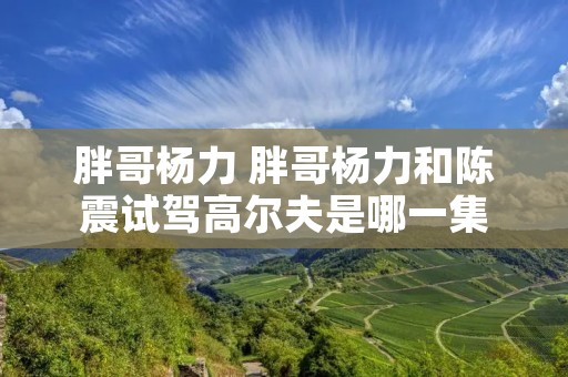 胖哥杨力 胖哥杨力和陈震试驾高尔夫是哪一集