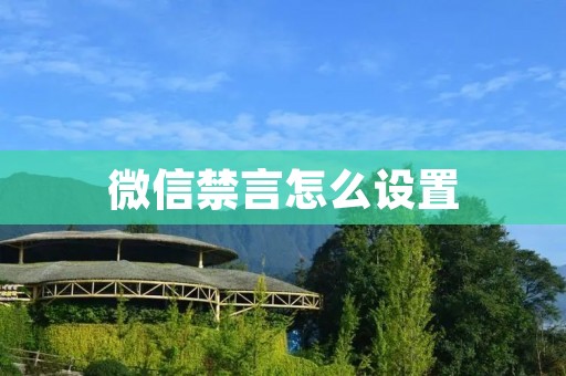 微信禁言怎么设置