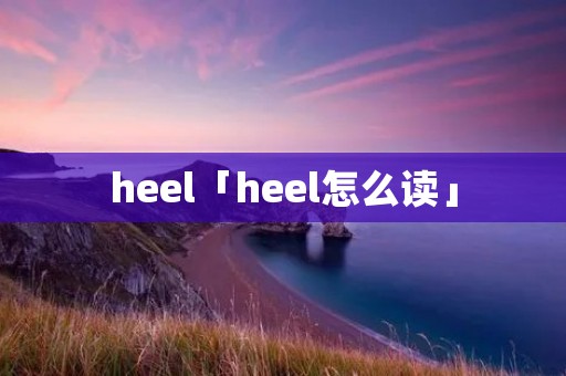 heel「heel怎么读」