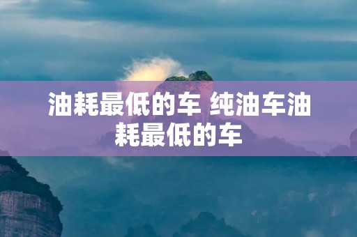油耗最低的车 纯油车油耗最低的车 油耗最低的车 纯油车油耗最低的车