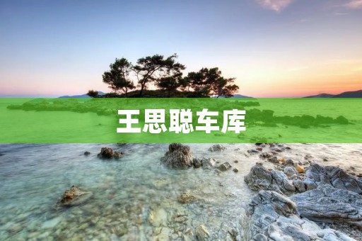 王思聪**:豪车云集的奢华天地 王思聪**:豪车云集的奢华天地