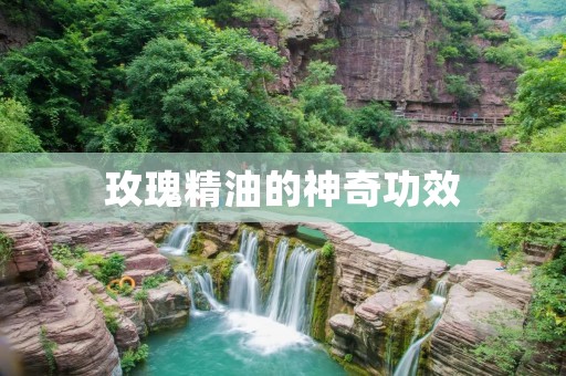 玫瑰精油的神奇功效