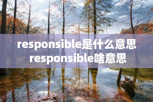 responsible是什么意思 responsible啥意思