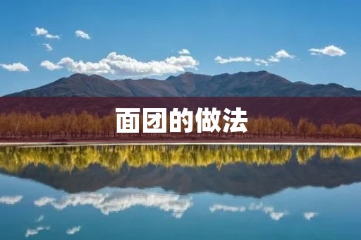 面团的做法:手把手教你制作完美的面团 面团的做法:手把手教你制作完美的面团
