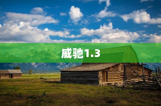 威驰1.3:品质卓越,驰骋无阻 威驰1.3:品质卓越,驰骋无阻