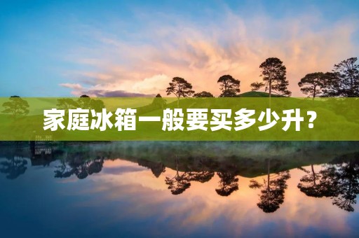 家庭冰箱一般要买多少升？