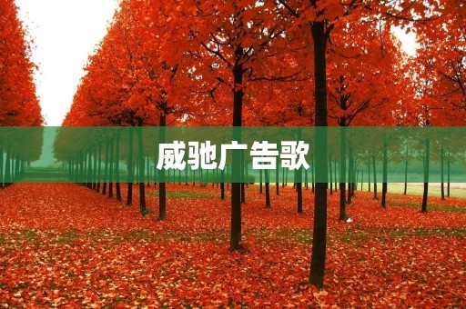 威驰广告歌：用音乐传递品牌力量的魅力