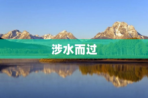 涉水而过：探索自然世界中的奇妙之旅