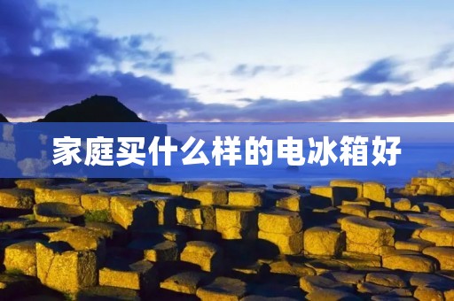 家庭买什么样的电冰箱好