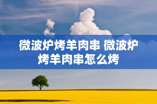微波炉烤羊肉串 微波炉烤羊肉串怎么烤