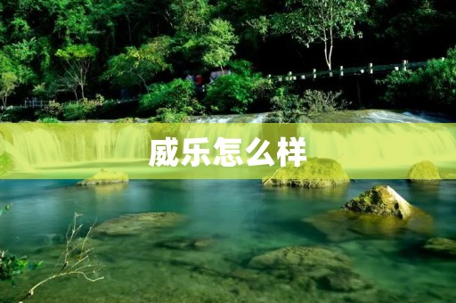 威乐怎么样:一款引领时尚与功能兼具的智能手表 威乐怎么样:一款引领时尚与功能兼具的智能手表