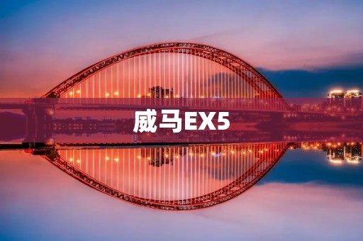 威马EX5：中国新能源汽车市场的领军者