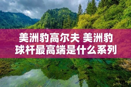 美洲豹高尔夫 美洲豹球杆最高端是什么系列