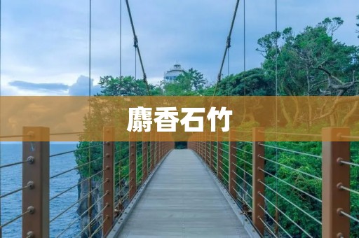 麝香石竹：花园中的绚丽之宝