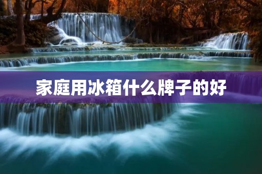 家庭用冰箱什么牌子的好 家庭用冰箱什么牌子的好