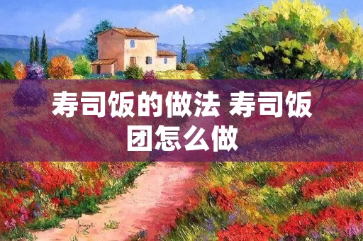 寿司饭的做法 寿司饭团怎么做