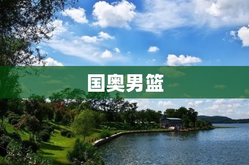 国奥男篮：备战东京奥运会的重要力量
