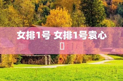 女排1号 女排1号袁心玥