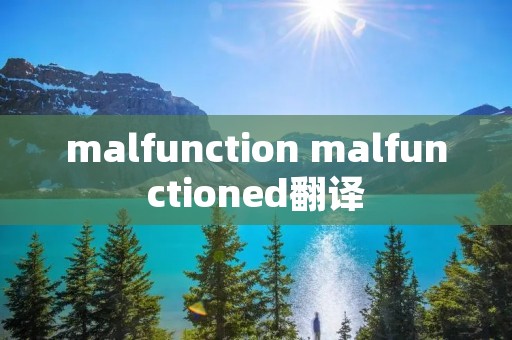 malfunction malfunctioned翻译