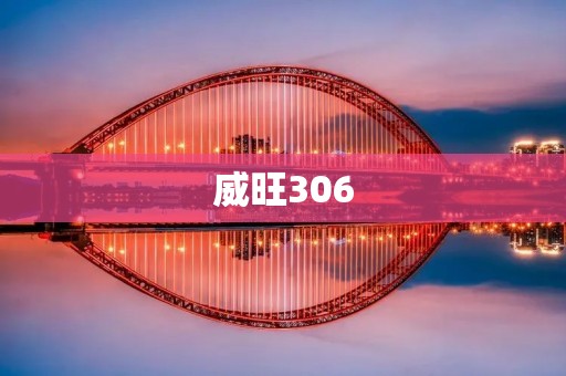 威旺306：一款卓越性能与时尚外观的家用轿车