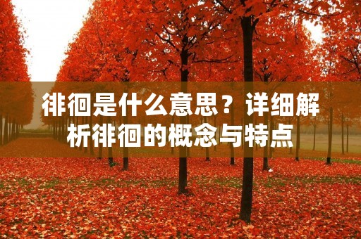 徘徊是什么意思？详细解析徘徊的概念与特点