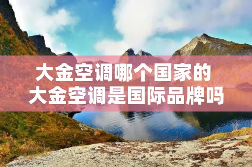 大金空调哪个国家的 大金空调是国际品牌吗