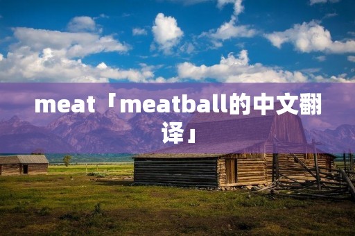 meat「meatball的中文翻译」 meat「meatball的中文翻译」