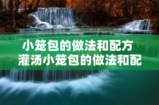 小笼包的做法和配方 灌汤小笼包的做法和配方 小笼包的做法和配方 灌汤小笼包的做法和配方