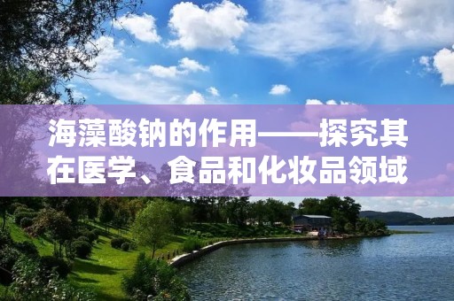 海藻酸钠的作用——探究其在医学、食品和化妆品领域的广泛应用