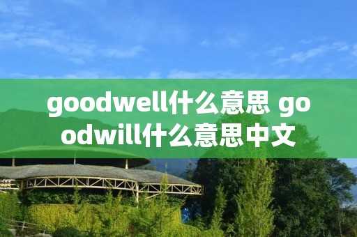 goodwell什么意思 goodwill什么意思中文