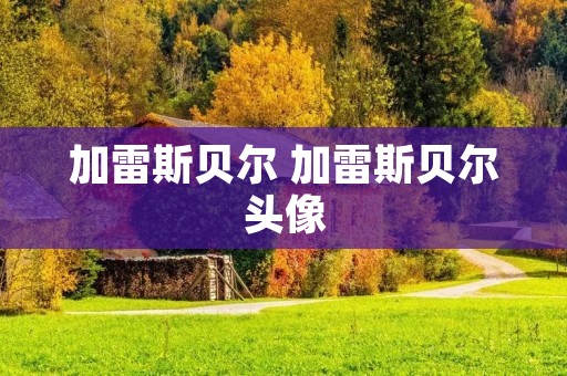 加雷斯贝尔 加雷斯贝尔头像
