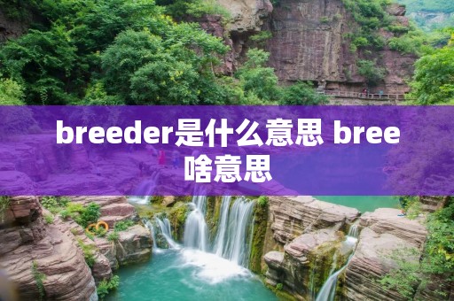 breeder是什么意思 bree啥意思