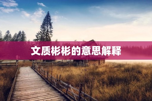 文质彬彬的意思解释：和善文雅，言行得体