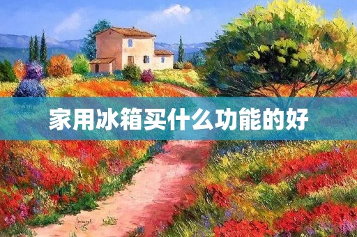 家用冰箱买什么功能的好