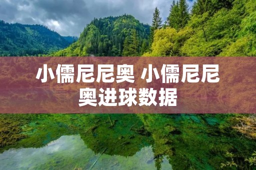 小儒尼尼奥 小儒尼尼奥进球数据