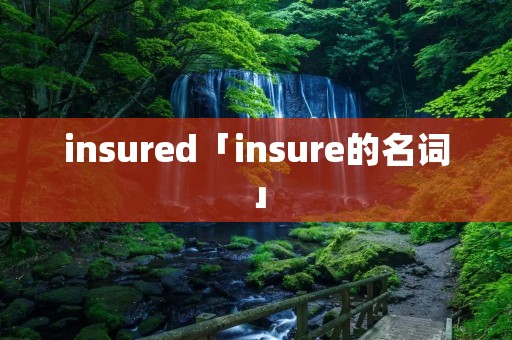 insured「insure的名词」