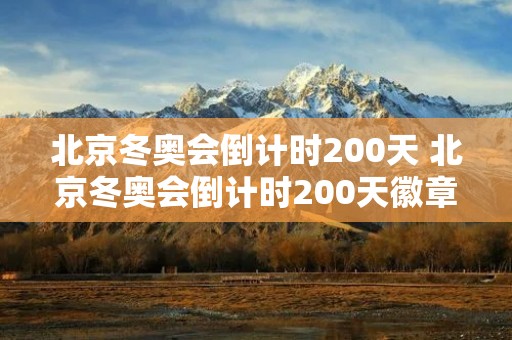 北京冬奥会倒计时200天 北京冬奥会倒计时200天徽章