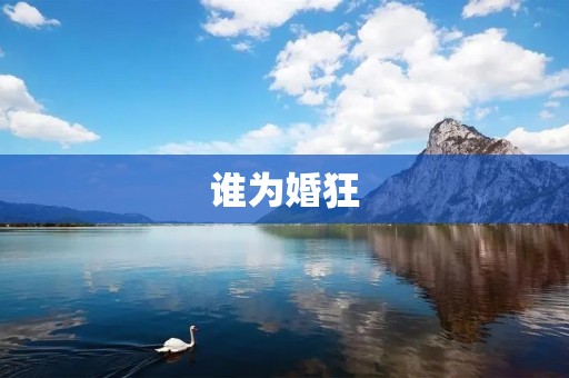谁为婚狂：探索婚姻追求背后的心理需求