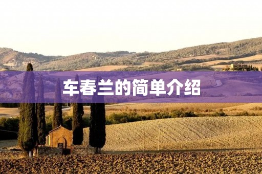 车春兰的简单介绍