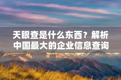 天眼查是什么东西？解析中国最大的企业信息查询平台