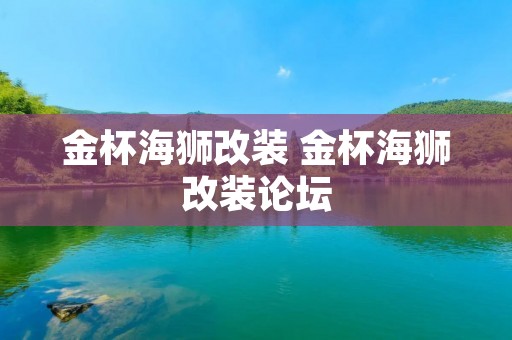 金杯海狮改装 金杯海狮改装论坛