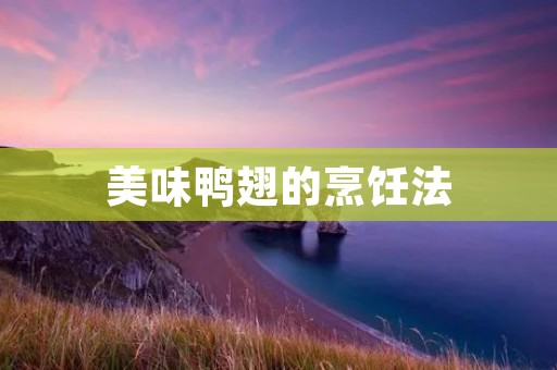美味鸭翅的烹饪法