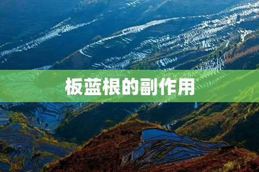 板蓝根的副作用
