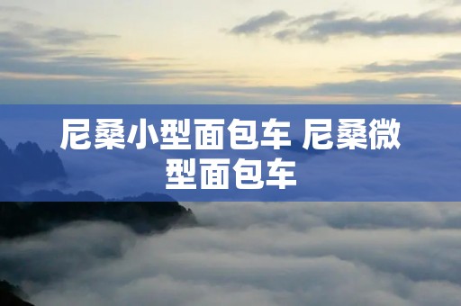 尼桑小型面包车 尼桑微型面包车