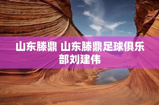 山东滕鼎 山东滕鼎足球俱乐部刘建伟